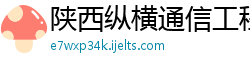 陕西纵横通信工程有限公司